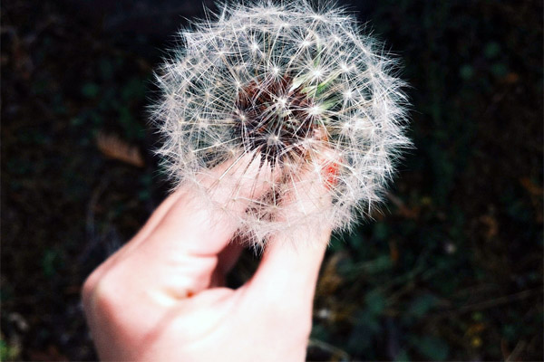 DDOS在线压力测试